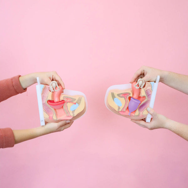 Load image into Gallery viewer, Period Duo