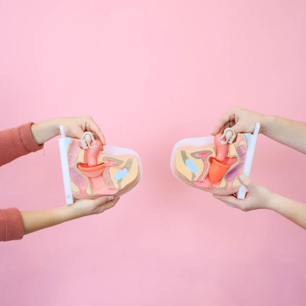 Load image into Gallery viewer, Period Duo Kit