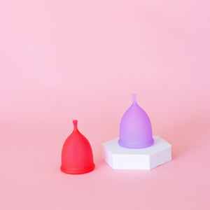 Combo Cup + Applicator