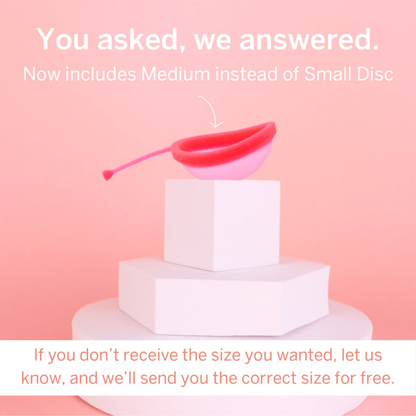 Steamer + Disc Bundle