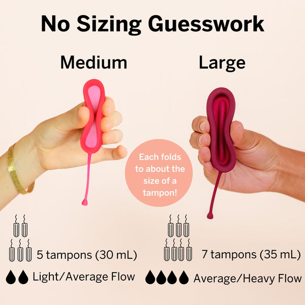 Load image into Gallery viewer, Combo Disc + Applicator Bundle
