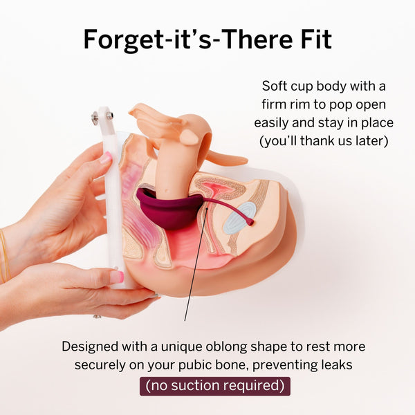 Combo Disc + Applicator Bundle