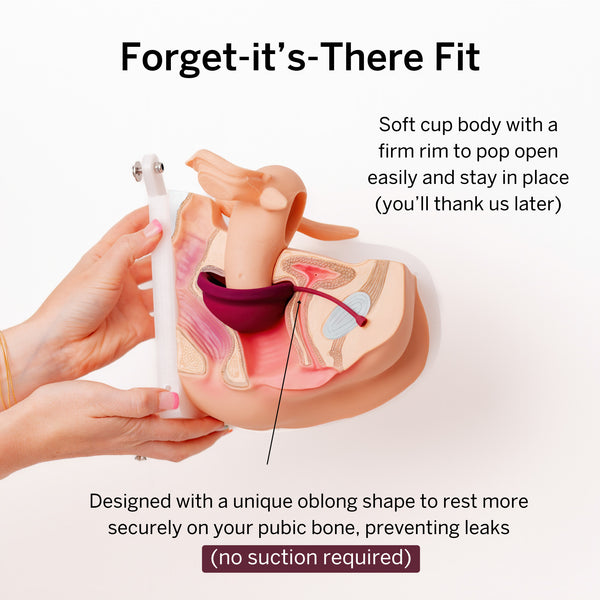 Steamer + Disc Bundle