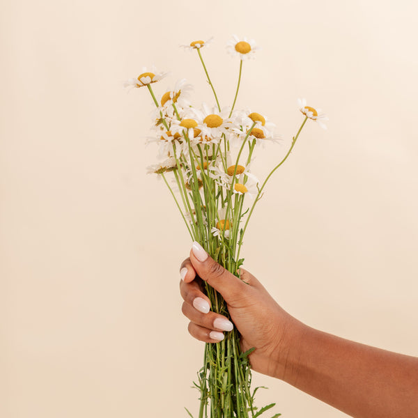 Load image into Gallery viewer, Individual Wipes - Chamomile Couture
